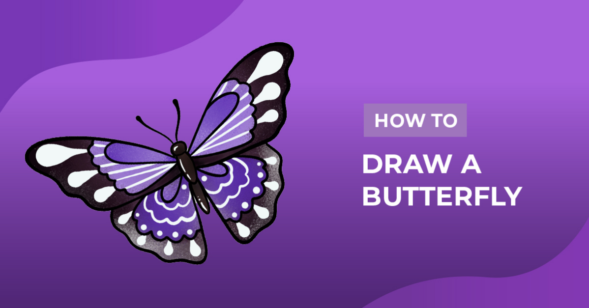 How to Draw a Butterfly