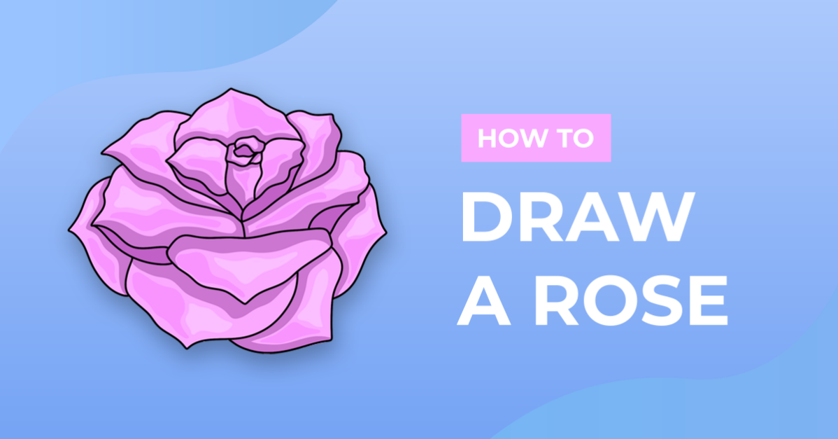 How to Draw a Rose
